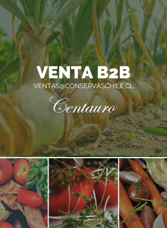 Conservas Chile B2B